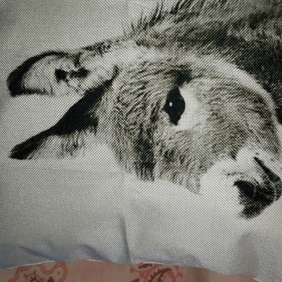 Donkey Pillow Cover Donkey Pillow Case Donkey Cushion Cover Burro Burrito - Picture 4 of 11